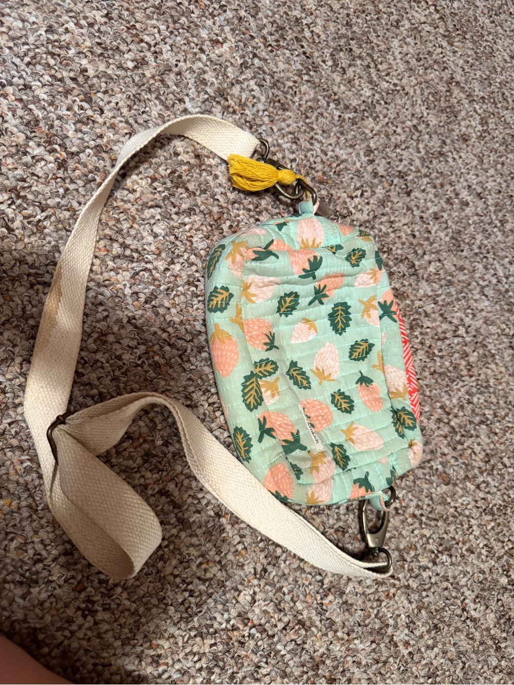 Strawberry Print Crossbody Bag in Mint